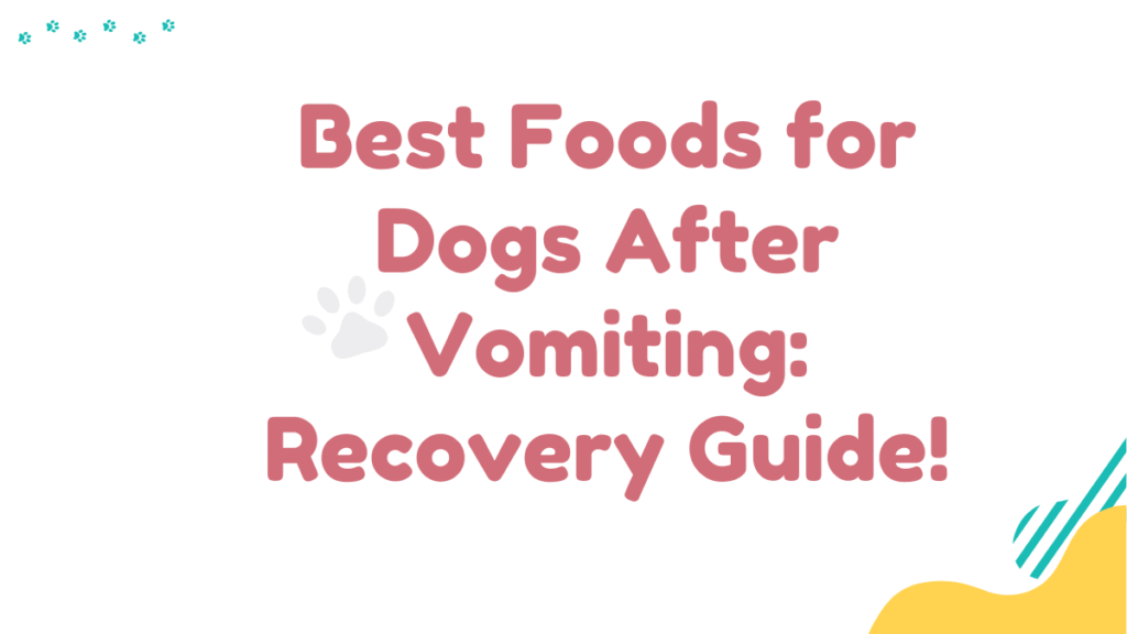 Foods for Dogs After Vomiting