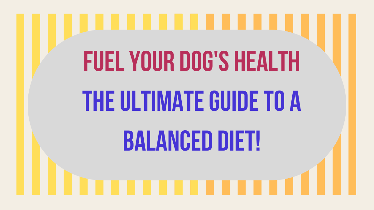 Fuel Your Dog's Health