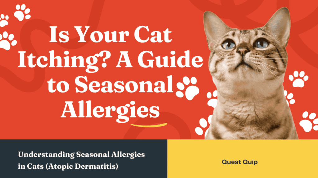 Is Your Cat Itching