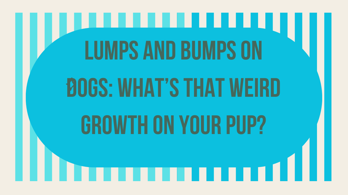 Lumps and Bumps on Dogs