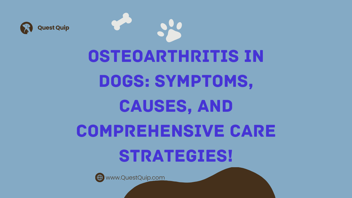Osteoarthritis in Dogs