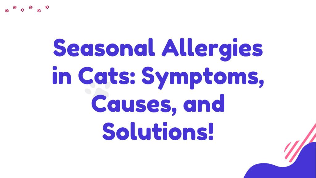 Seasonal Allergies in Cats