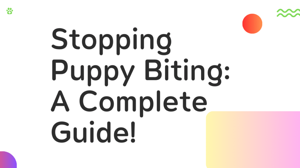 Stopping Puppy Biting