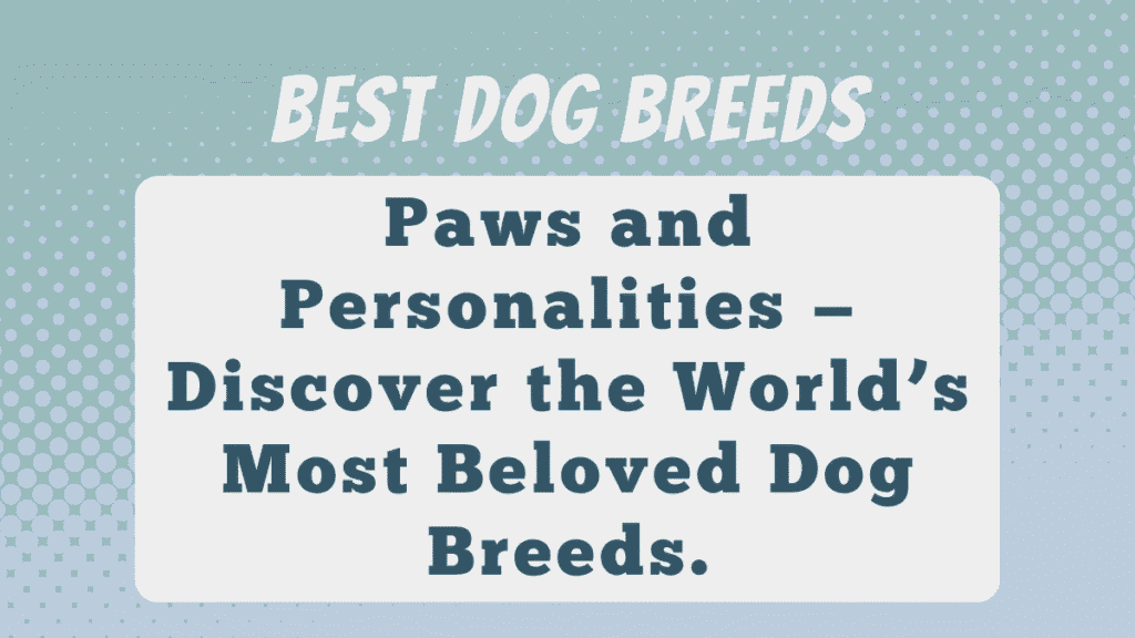 Best Dog Breeds