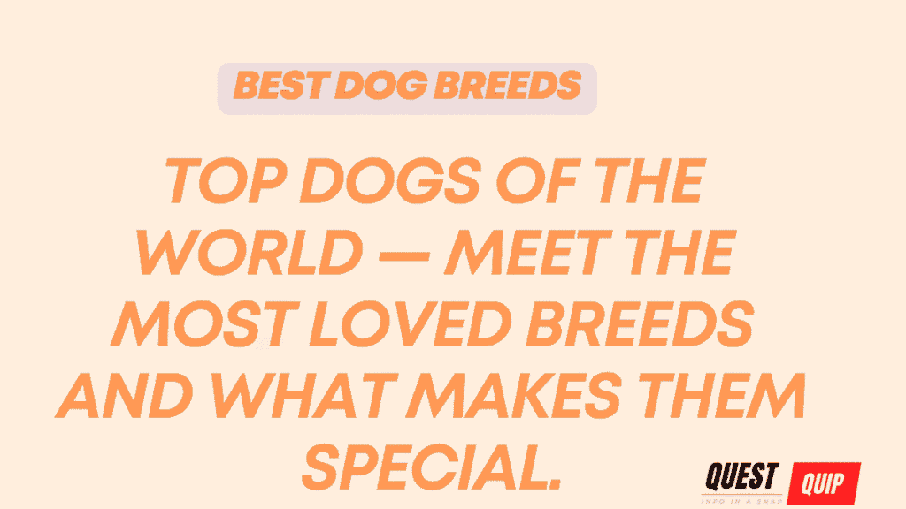 Best Dog Breeds