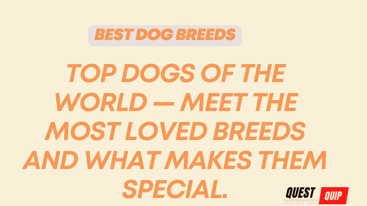 Best Dog Breeds