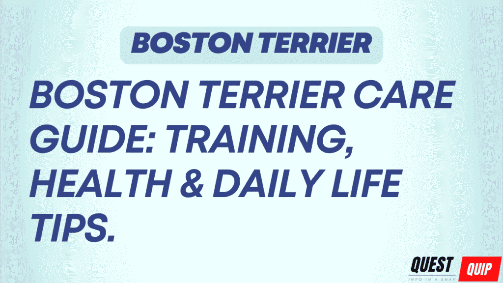 Boston Terrier Complete Guide: The American Gentleman's Health and Care 1 Boston Terrier