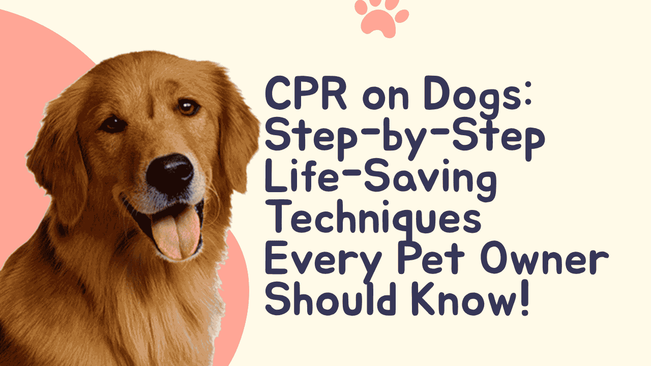 CPR on Dogs