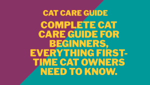 Cat Care