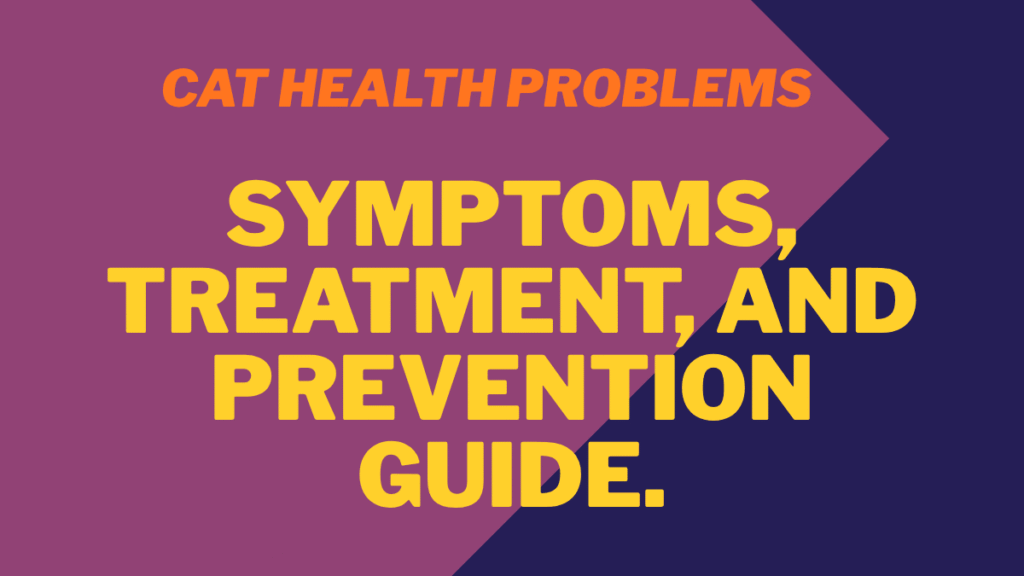 Cat Health Problems