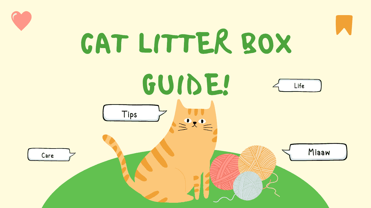 Cat Litter Box Guide!