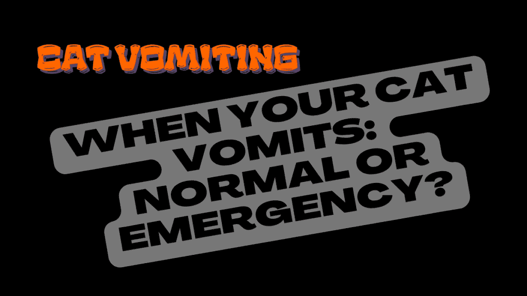 Cat Vomiting