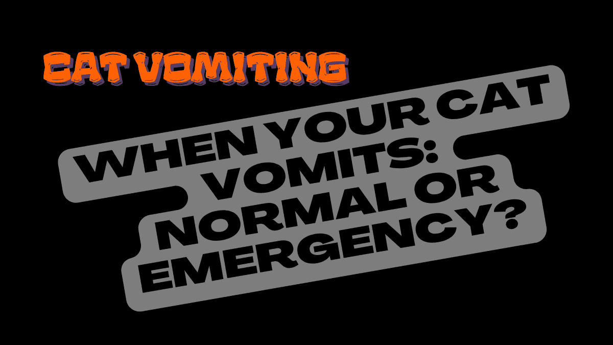 Cat Vomiting