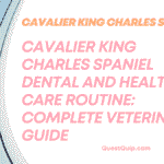 Cavalier King Charles Spaniel
