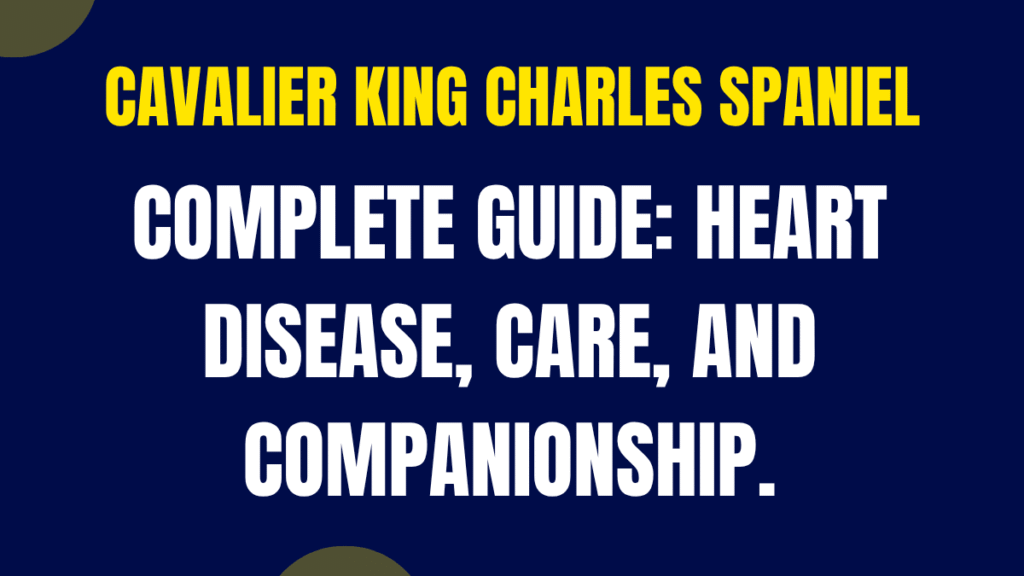 Cavalier King Charles Spaniel