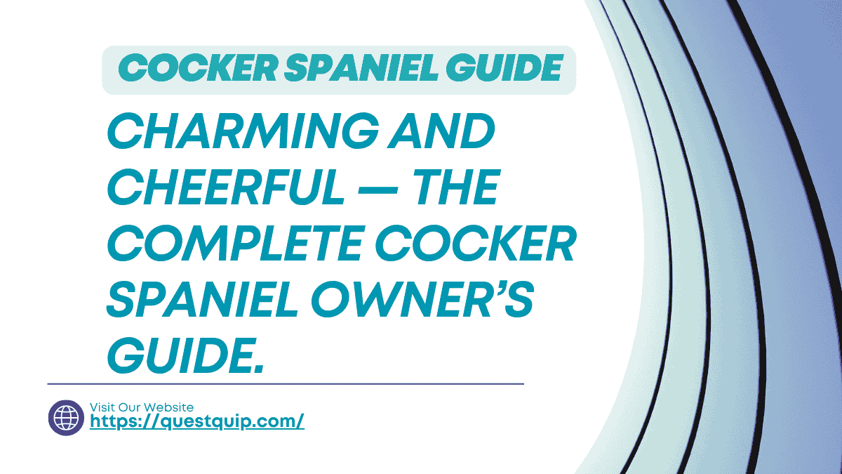 Cocker Spaniel Guide