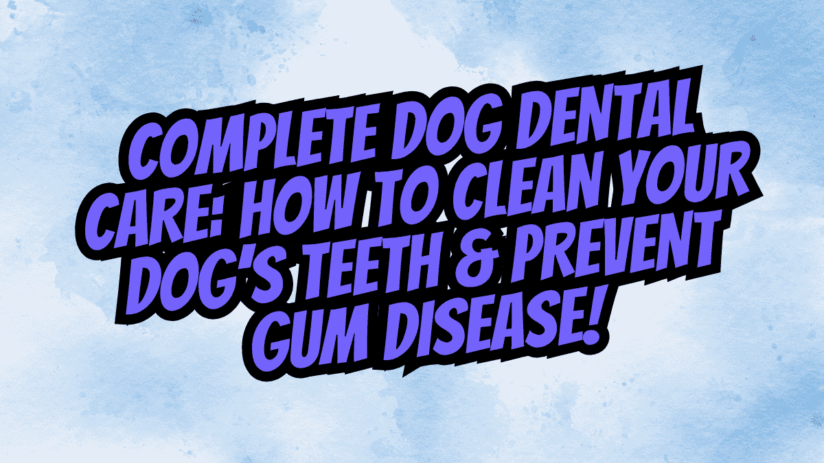 Complete Dog Dental Care