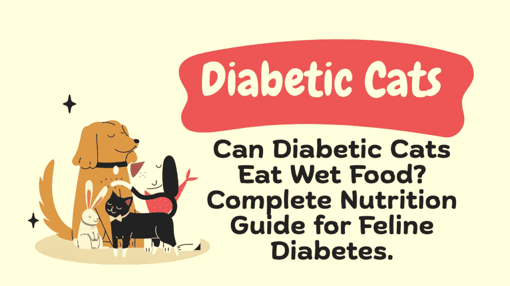Holistic Remedies for Diabetes in Cats: Complementary Strategies for Effective Management 1 Diabetic Cats