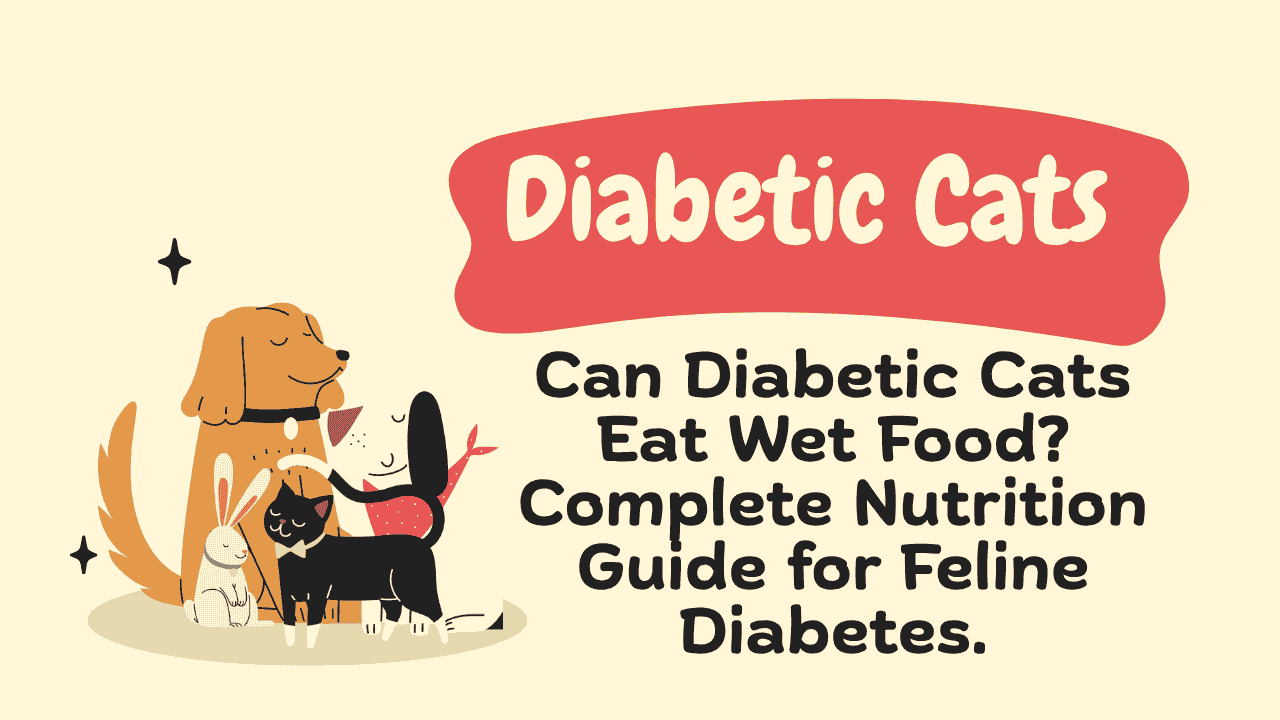 Diabetic Cats