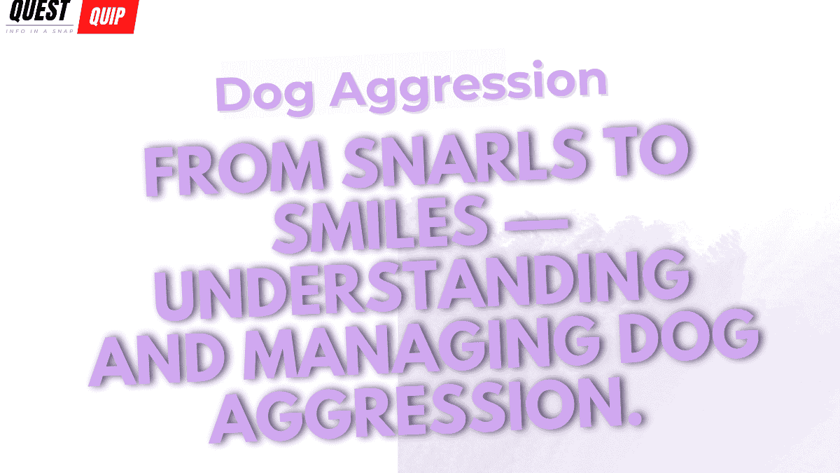 Dog Aggression