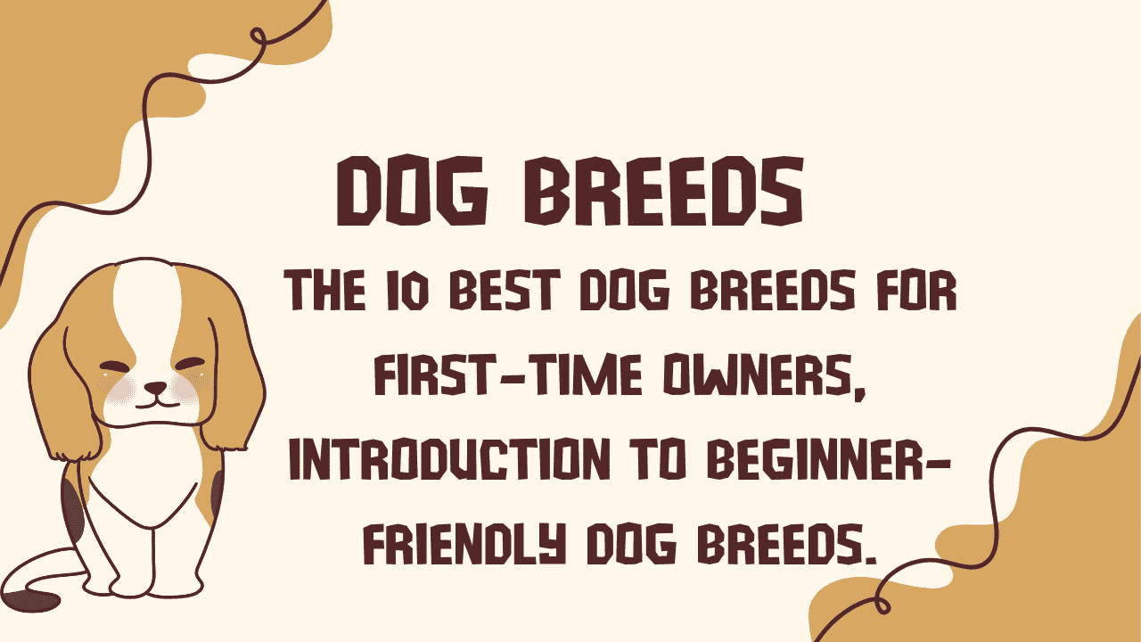 Dog Breeds