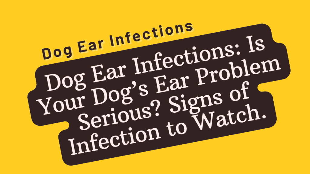 Dog Ear Infections
