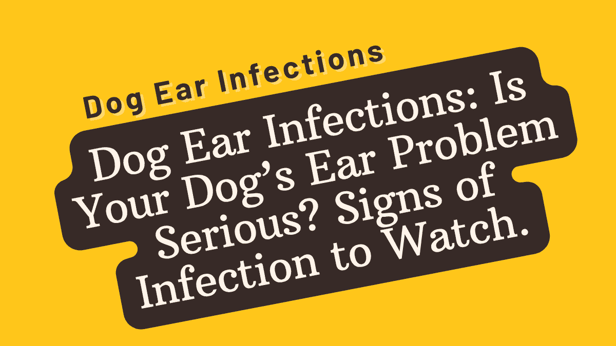 Dog Ear Infections