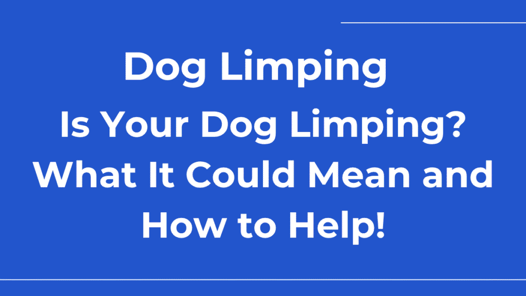 Dog Limping