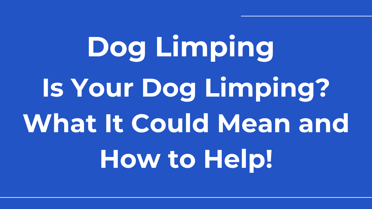 Dog Limping