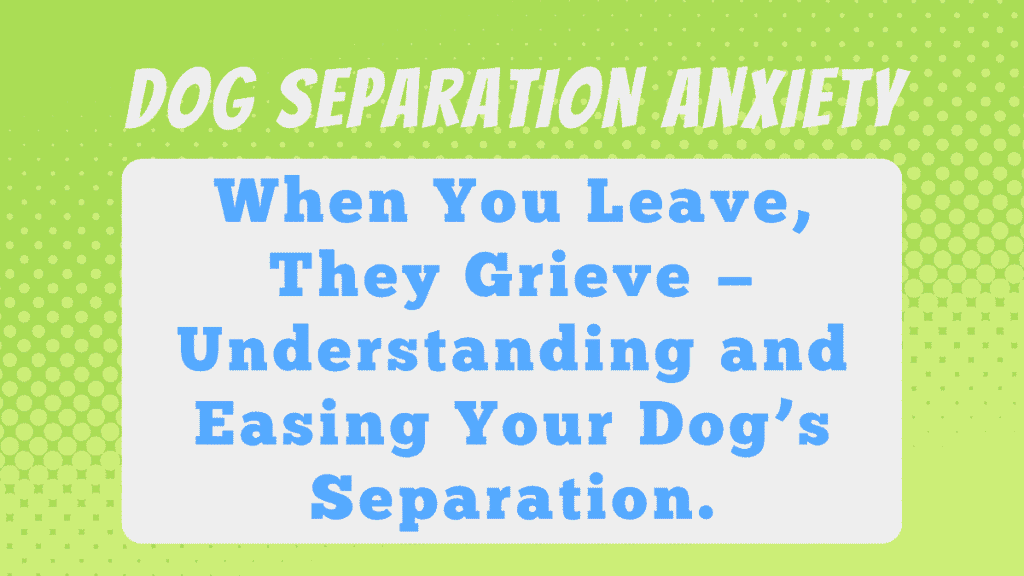 Dog Separation Anxiety