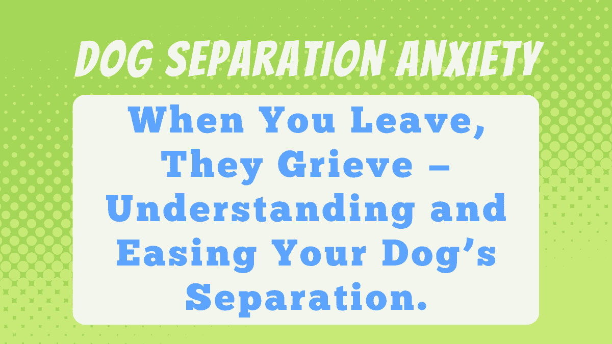 Dog Separation Anxiety