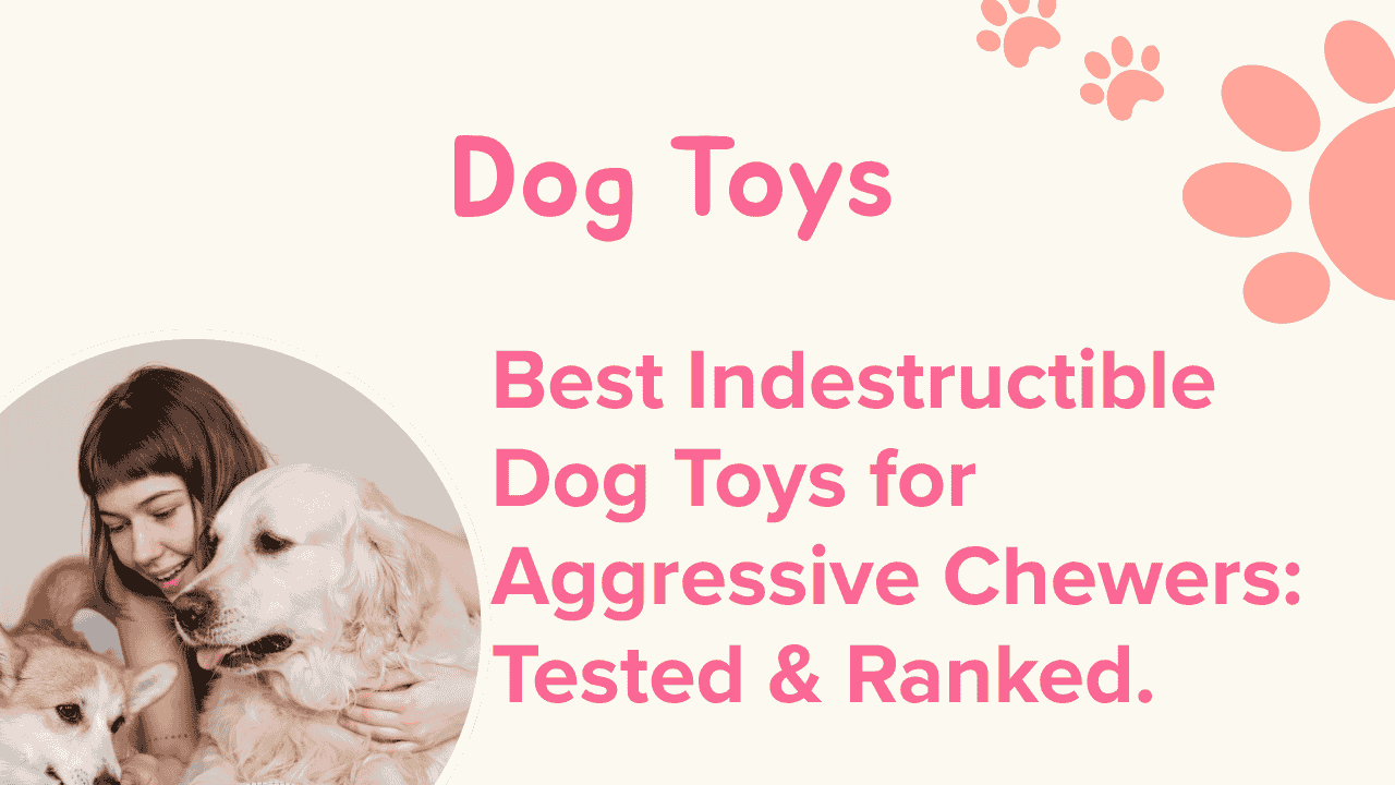Dog Toys
