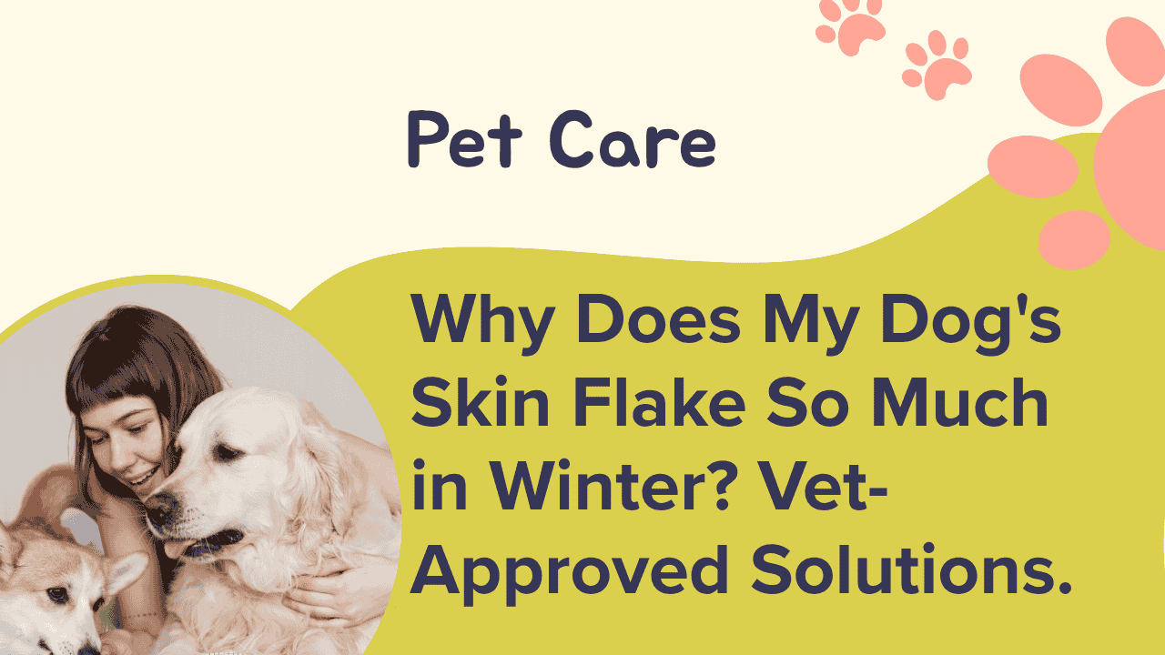 Dog's Skin Flake