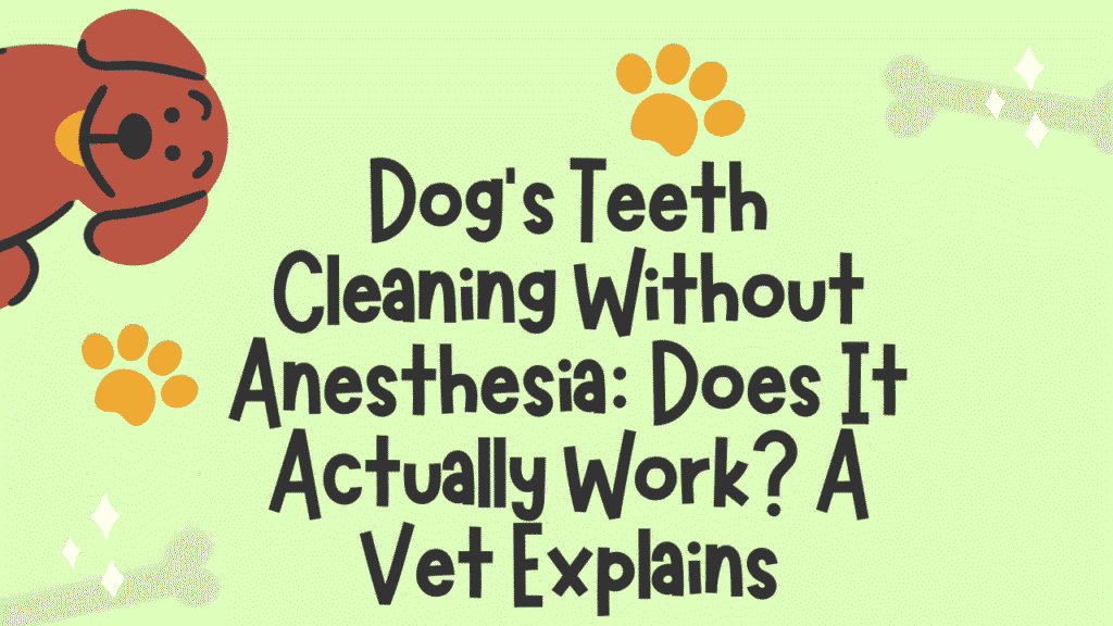Dog's Teeth Cleaning