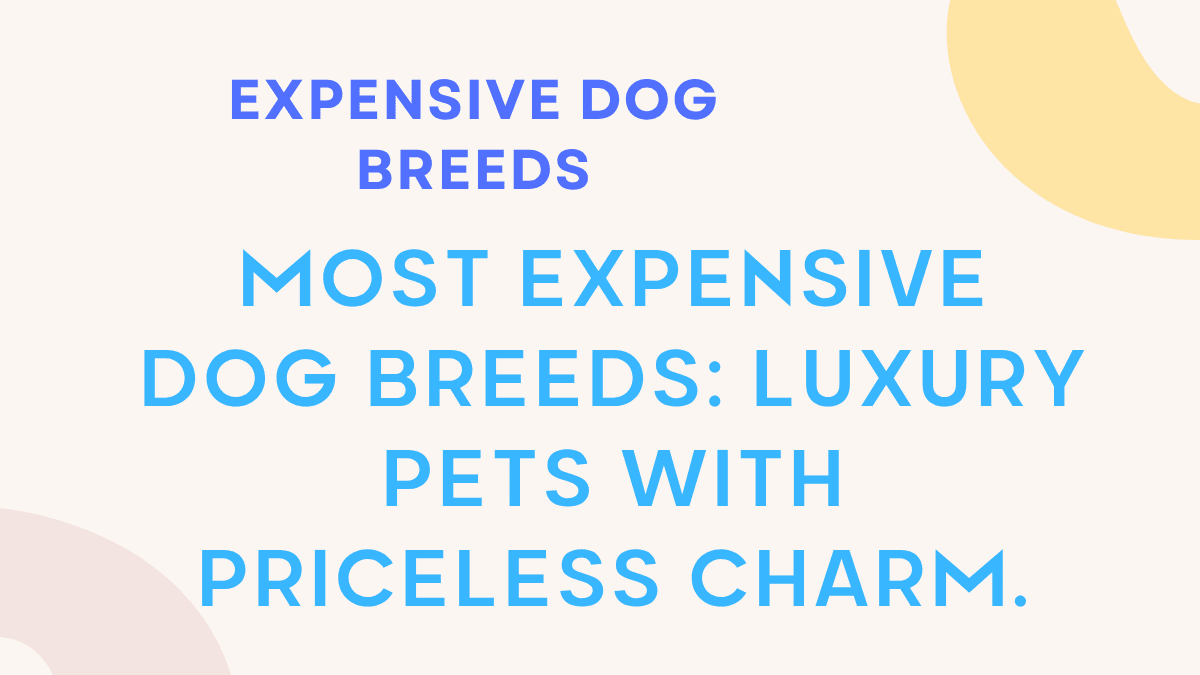 Expensive Dog Breeds