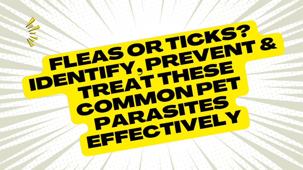 Fleas vs Ticks: Complete Prevention and Treatment Guide (What Actually Works) 1 Fleas or Ticks