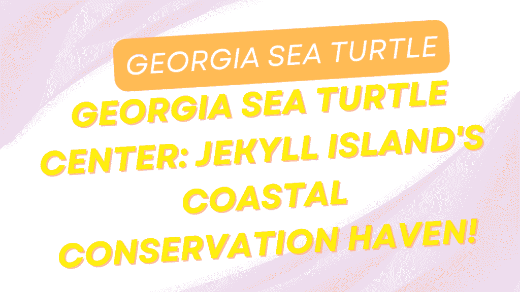 Georgia Sea Turtle Center