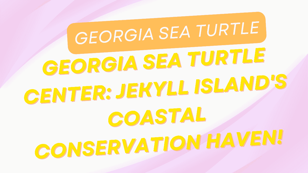 Georgia Sea Turtle Center