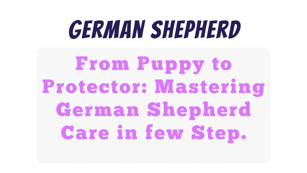 German Shepherd