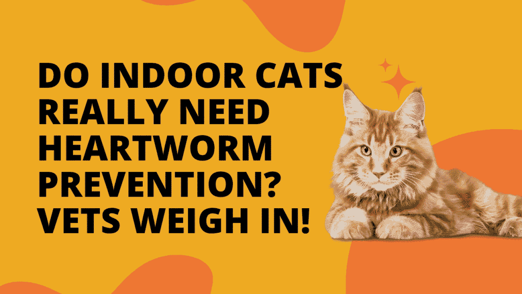 Heartworm Prevention