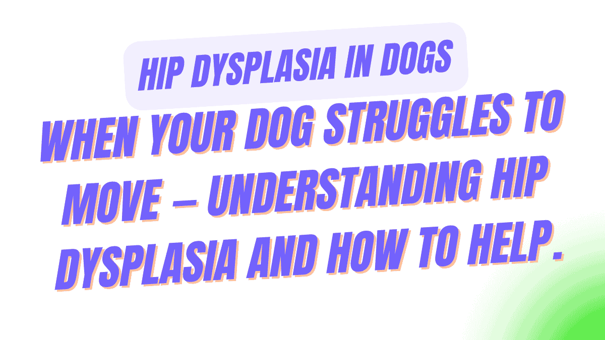 Hip Dysplasia in Dogs