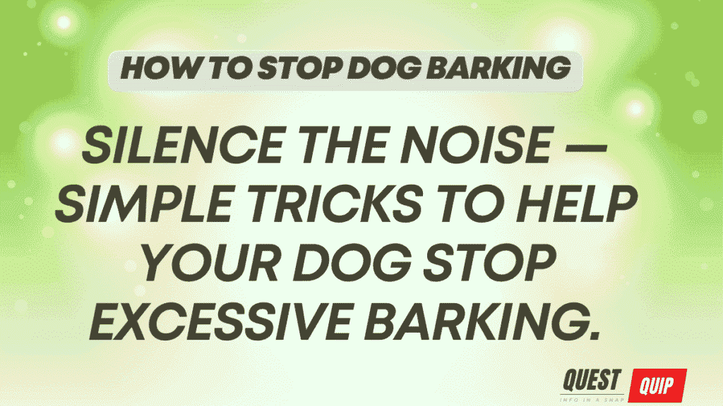 How to Stop Dog Barking