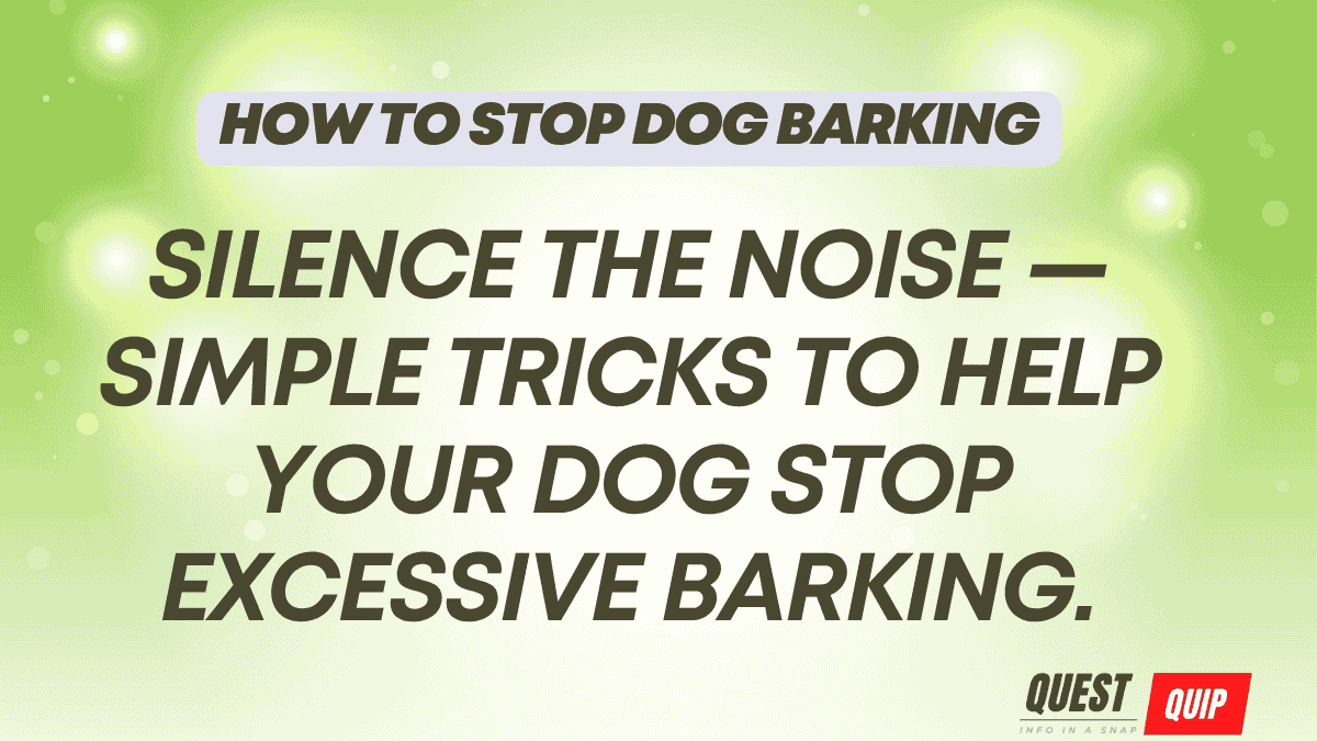 How to Stop Dog Barking