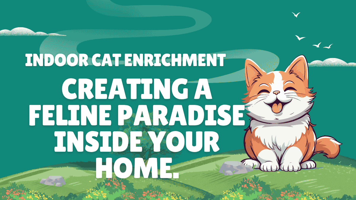 Indoor Cat Enrichment & Environmental Needs - Creating a Feline Paradise Inside Your Home 1 Indoor Cat Enrichment