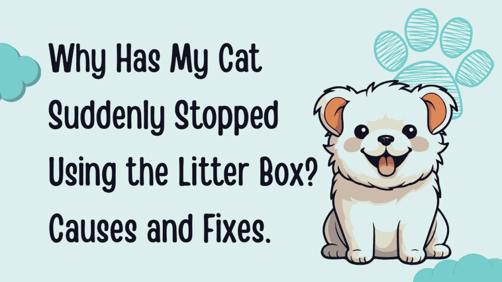 My Cat Suddenly Stopped Using the Litter Box