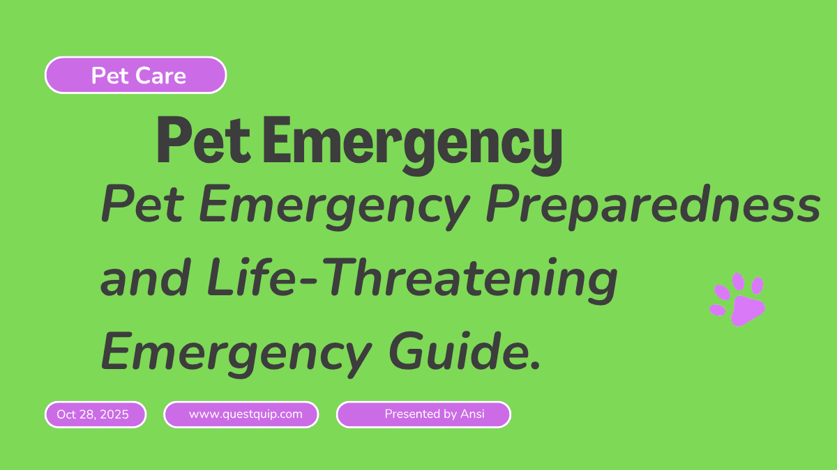 Pet Emergency
