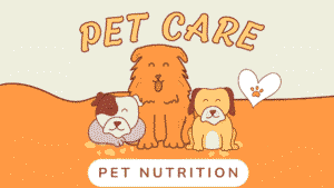 Pet Nutrition