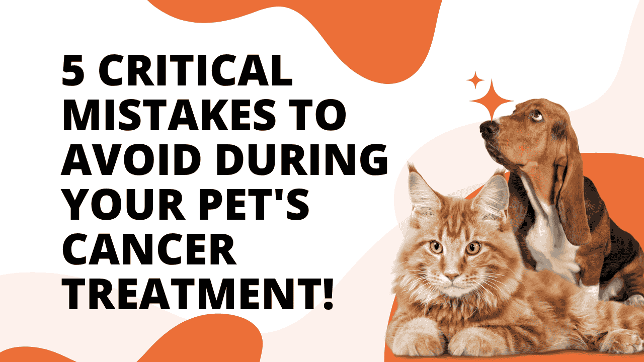 Pet's Cancer Treatment
