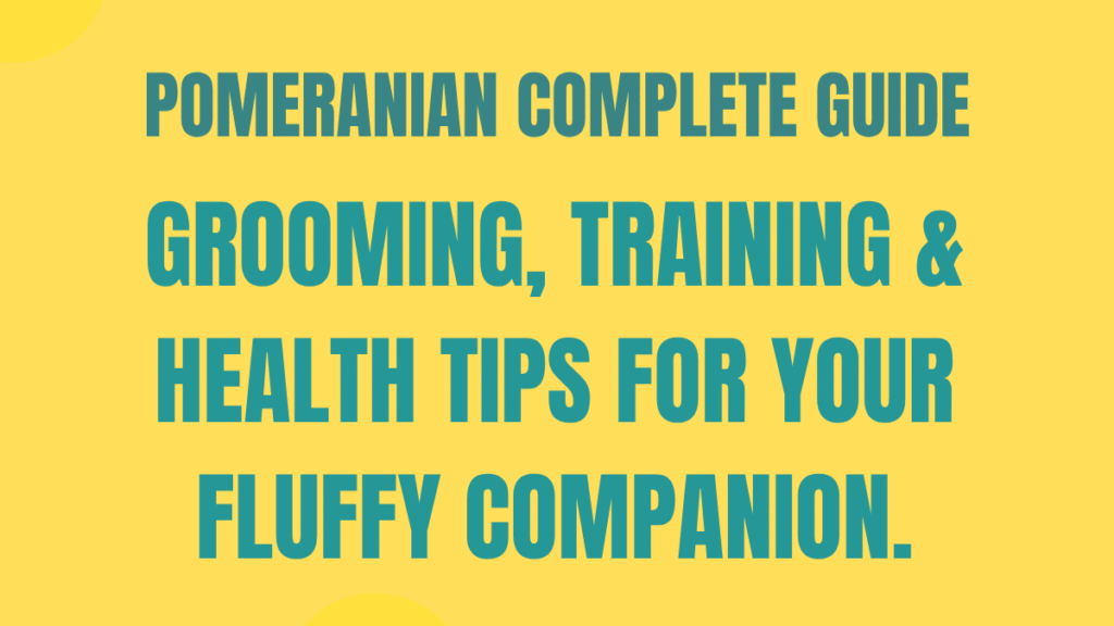 Pomeranian Complete Guide