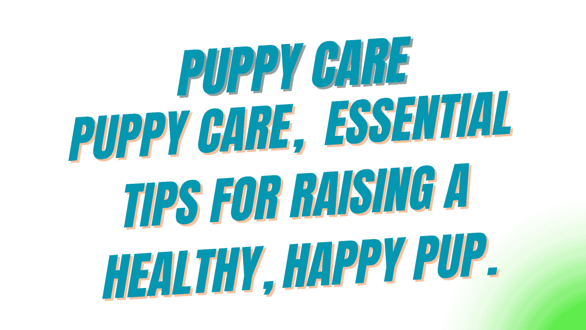 Puppy Care